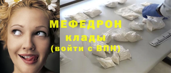 spice Дмитриев