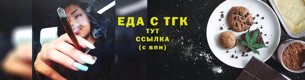 spice Дмитриев
