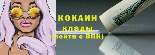 spice Дмитриев
