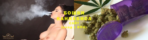 spice Дмитриев