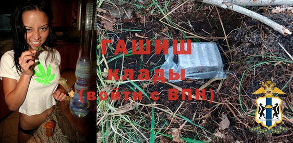 spice Дмитриев