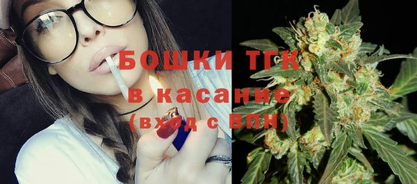 spice Дмитриев