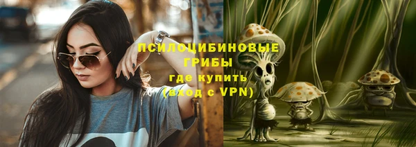 spice Дмитриев
